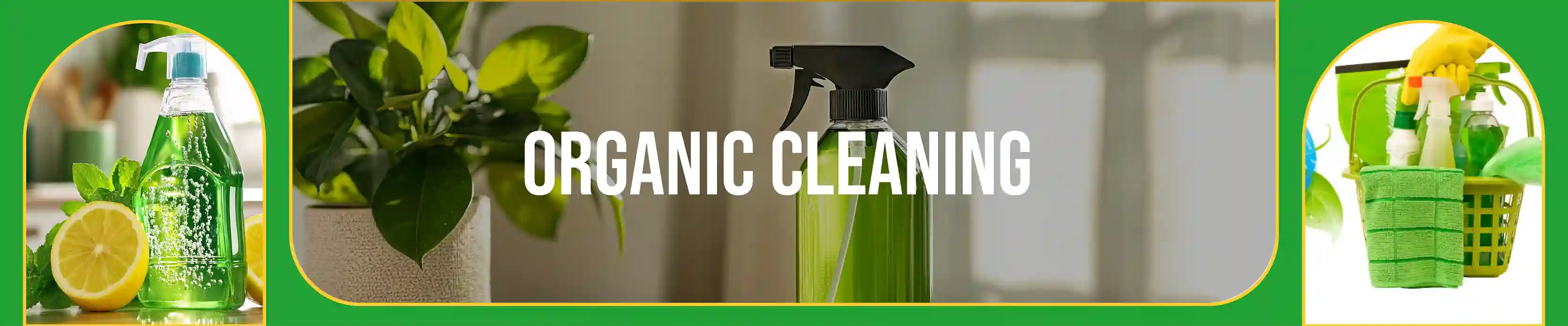 carpet cleaning, carpet cleaners, cleaning services, cleaning services in Nassau, cleaning services in Nassau, carpet cleaning in Nassau, carpet cleaning in Nassau, carpet cleaning Nassau, carpet cleaners in Nassau, carpet cleaners in Nassau, carpet cleaning services, Nassau carpet cleaning, Nassau carpet cleaning, Nassau carpet cleaners, Nassau carpet cleaning services, rug cleaning, rug cleaners, Nassau rug cleaning, Nassau rug cleaners, rug cleaning in Nassau