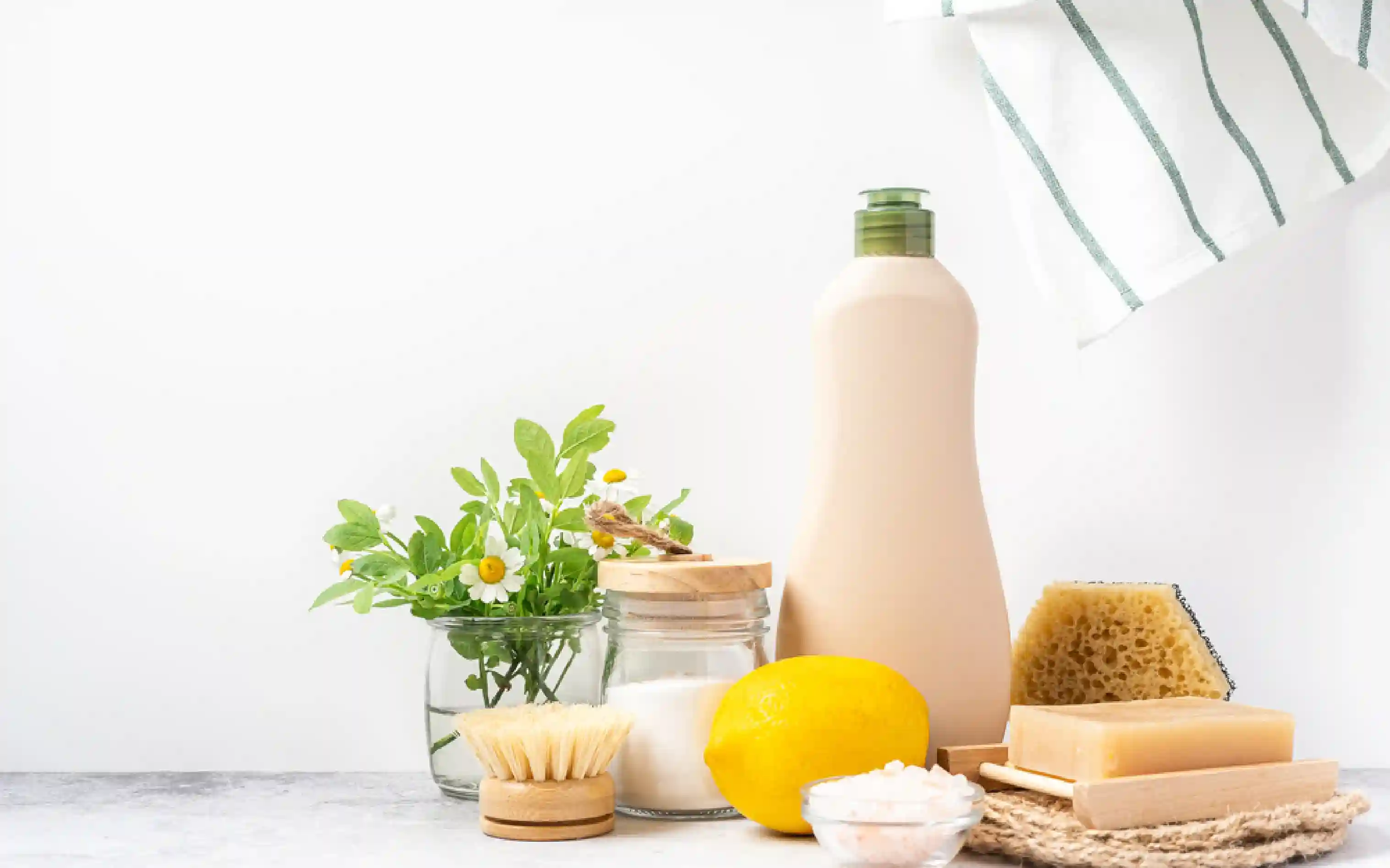 carpet cleaning, carpet cleaners, cleaning services, cleaning services in Nassau, cleaning services in Nassau, carpet cleaning in Nassau, carpet cleaning in Nassau, carpet cleaning Nassau, carpet cleaners in Nassau, carpet cleaners in Nassau, carpet cleaning services, Nassau carpet cleaning, Nassau carpet cleaning, Nassau carpet cleaners, Nassau carpet cleaning services, rug cleaning, rug cleaners, Nassau rug cleaning, Nassau rug cleaners, rug cleaning in Nassau