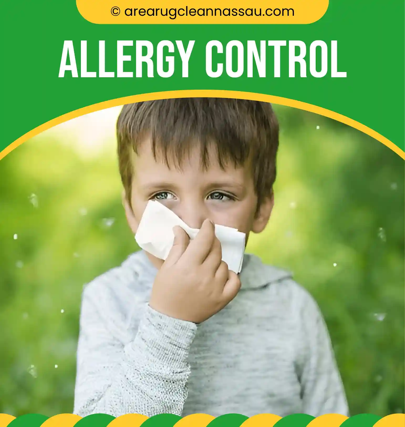 carpet cleaning, carpet cleaners, cleaning services, cleaning services in Nassau, cleaning services in Nassau, carpet cleaning in Nassau, carpet cleaning in Nassau, carpet cleaning Nassau, carpet cleaners in Nassau, carpet cleaners in Nassau, carpet cleaning services, Nassau carpet cleaning, Nassau carpet cleaning, Nassau carpet cleaners, Nassau carpet cleaning services, rug cleaning, rug cleaners, Nassau rug cleaning, Nassau rug cleaners, rug cleaning in Nassau