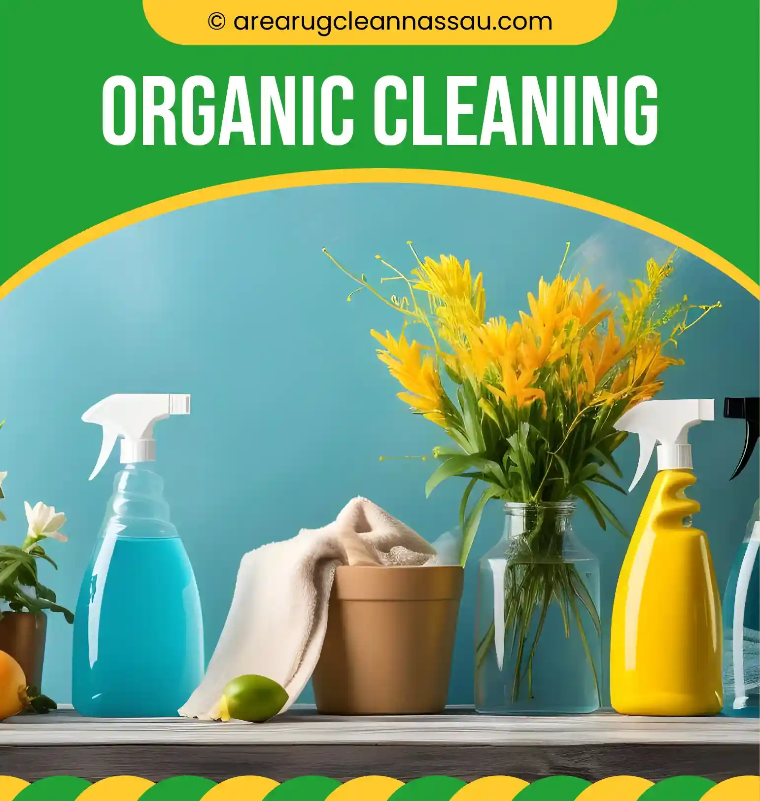 carpet cleaning, carpet cleaners, cleaning services, cleaning services in Nassau, cleaning services in Nassau, carpet cleaning in Nassau, carpet cleaning in Nassau, carpet cleaning Nassau, carpet cleaners in Nassau, carpet cleaners in Nassau, carpet cleaning services, Nassau carpet cleaning, Nassau carpet cleaning, Nassau carpet cleaners, Nassau carpet cleaning services, rug cleaning, rug cleaners, Nassau rug cleaning, Nassau rug cleaners, rug cleaning in Nassau